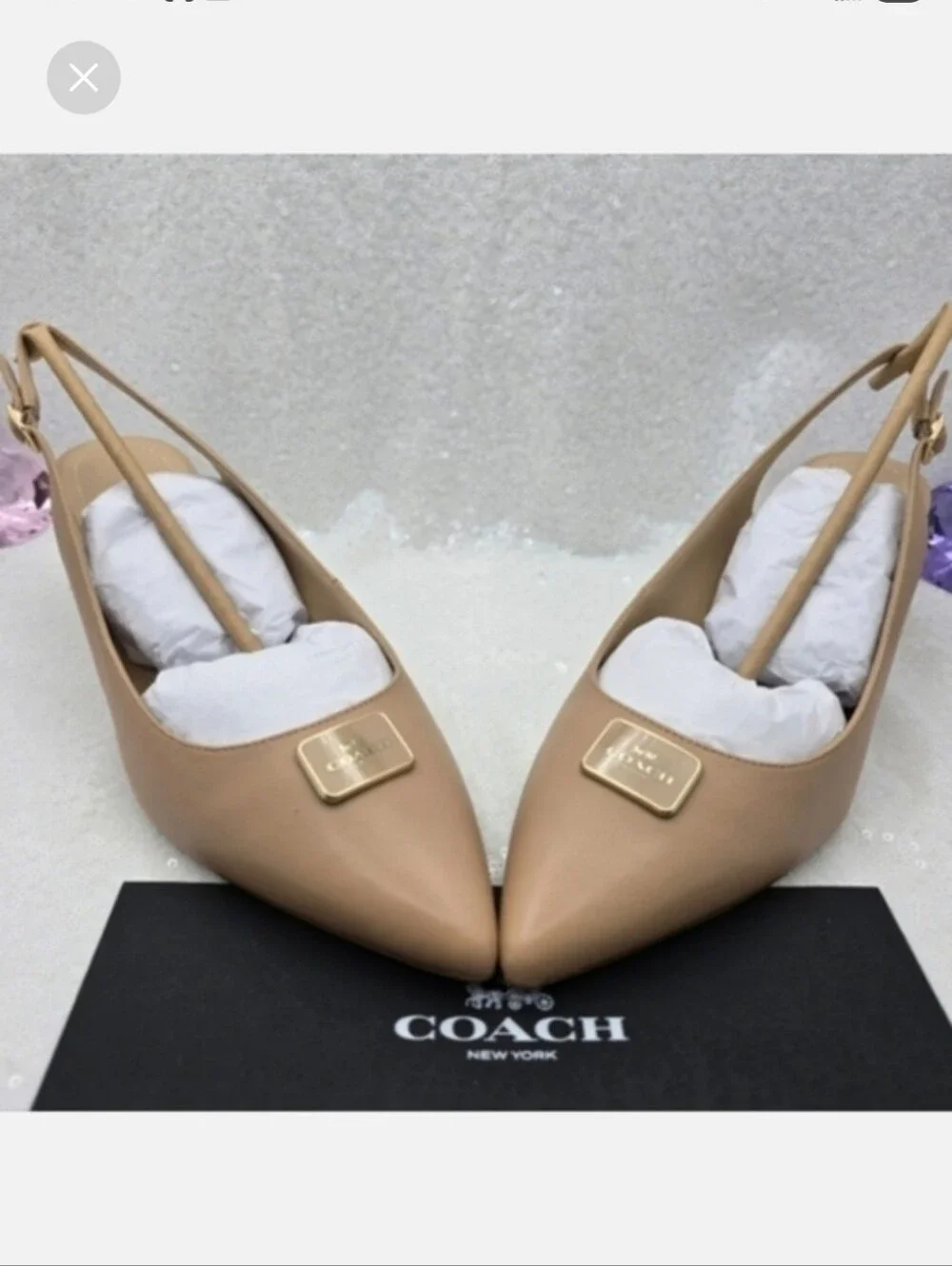 Coach Jillian Slingback Classic Low Heel Closed Toe Neutral Color Women's 9.5